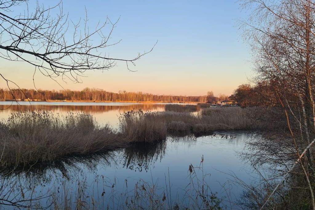 Januszkowice  Wake Domek Green House Januszkowice מראה חיצוני תמונה